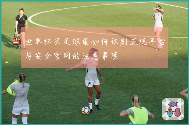 世界杯买足球前如何识别正规平台与安全官网的注意事项