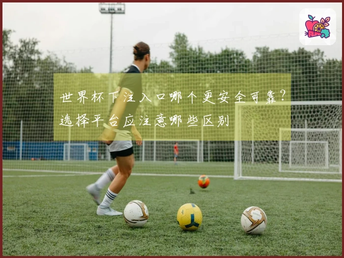 世界杯下注入口哪个更安全可靠？选择平台应注意哪些区别