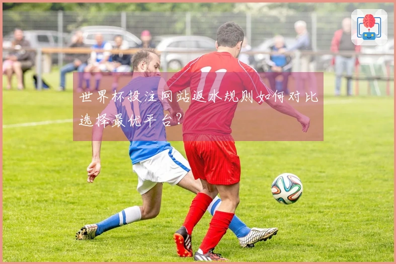 世界杯投注网站返水规则如何对比选择最优平台？