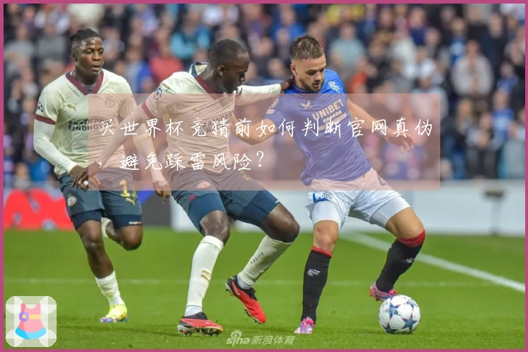 买世界杯竞猜前如何判断官网真伪，避免踩雷风险？