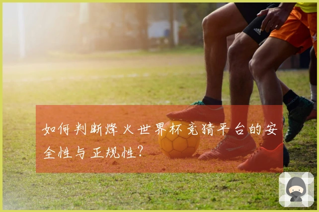 如何判断烽火世界杯竞猜平台的安全性与正规性？