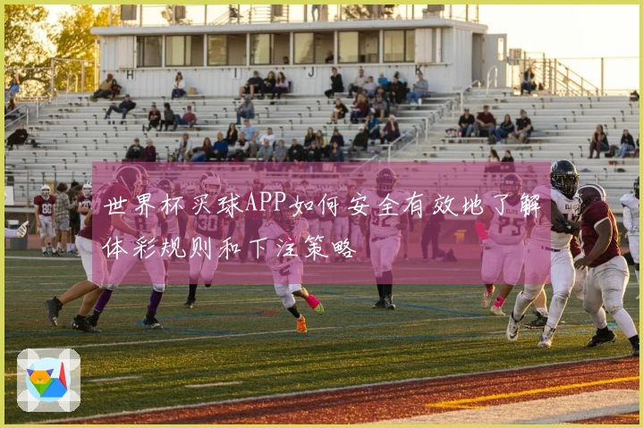 世界杯买球APP如何安全有效地了解体彩规则和下注策略