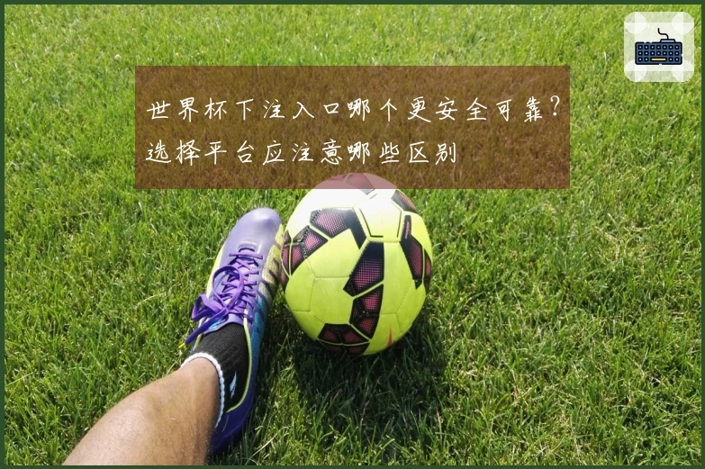 世界杯下注入口哪个更安全可靠？选择平台应注意哪些区别