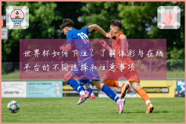 世界杯如何下注？了解体彩与在线平台的不同选择和注意事项