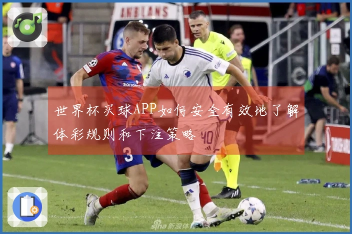 世界杯买球APP如何安全有效地了解体彩规则和下注策略
