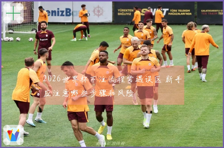 2026世界杯下注流程常遇误区 新手应注意哪些步骤和风险