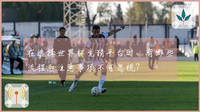 在选择世界杯竞猜平台时，有哪些流程和注意事项不可忽视？