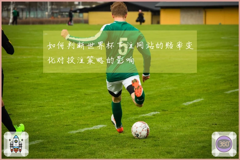 如何判断世界杯下注网站的赔率变化对投注策略的影响