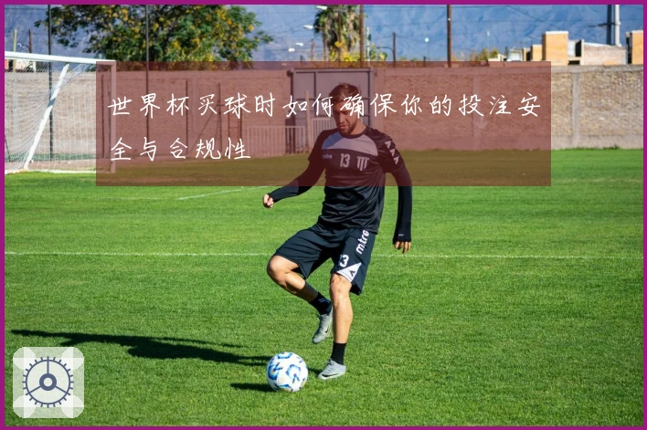 世界杯买球时如何确保你的投注安全与合规性