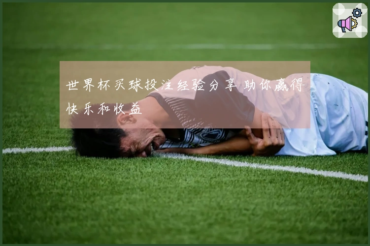 世界杯买球投注经验分享 助你赢得快乐和收益