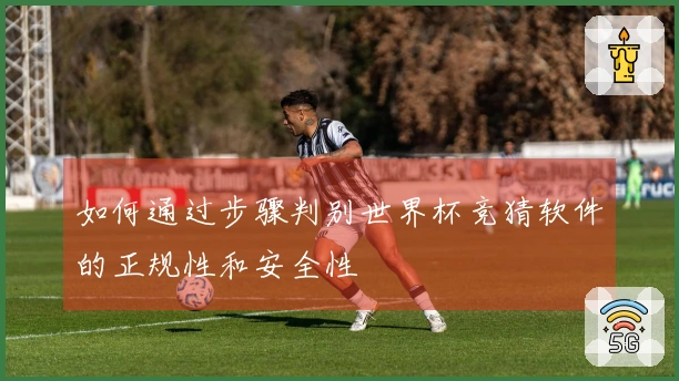 如何通过步骤判别世界杯竞猜软件的正规性和安全性