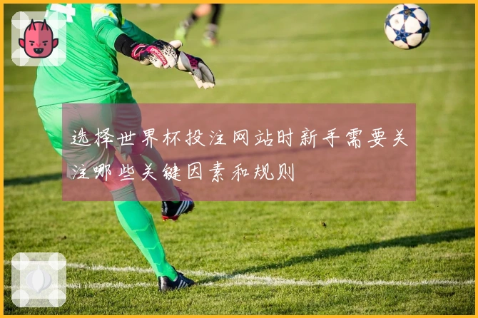 选择世界杯投注网站时新手需要关注哪些关键因素和规则
