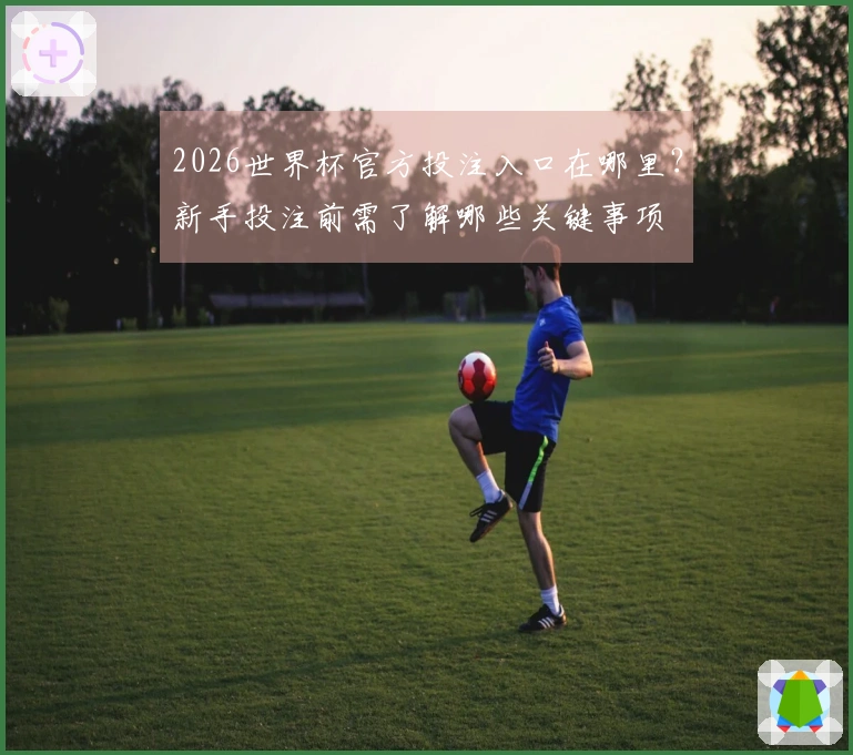 2026世界杯官方投注入口在哪里？新手投注前需了解哪些关键事项