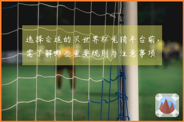 选择合适的买世界杯竞猜平台前，需了解哪些重要规则与注意事项