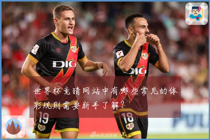 世界杯竞猜网站中有哪些常见的体彩规则需要新手了解？