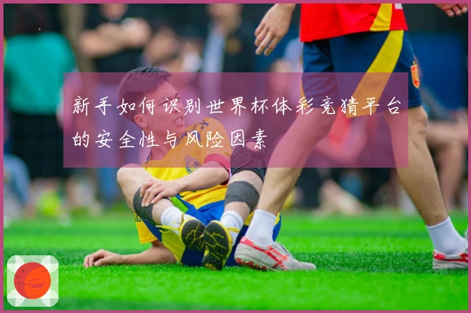 新手如何识别世界杯体彩竞猜平台的安全性与风险因素