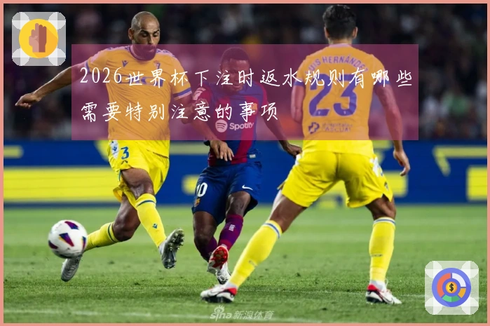 2026世界杯下注时返水规则有哪些需要特别注意的事项