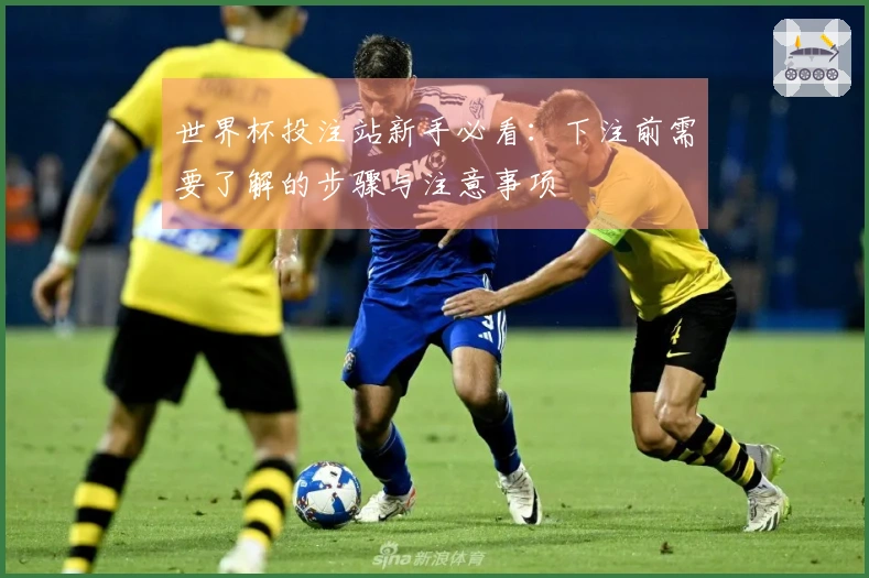 世界杯投注站新手必看：下注前需要了解的步骤与注意事项