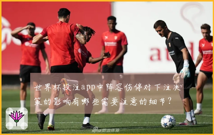 世界杯投注app中阵容伤停对下注决策的影响有哪些需要注意的细节？