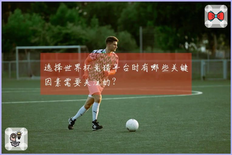 选择世界杯竞猜平台时有哪些关键因素需要关注的？