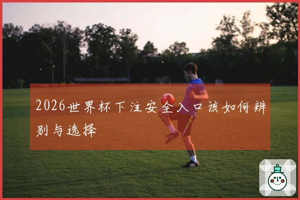 2026世界杯下注安全入口该如何辨别与选择