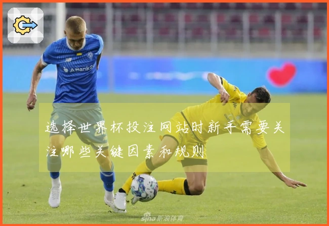 选择世界杯投注网站时新手需要关注哪些关键因素和规则